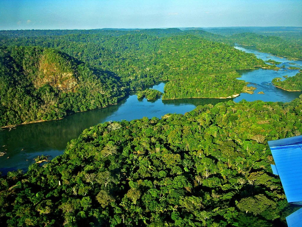 rir-brasil-amazonica RIR Brasil Belo Horizonte MG I A Voz do Manejo Agroflorestal