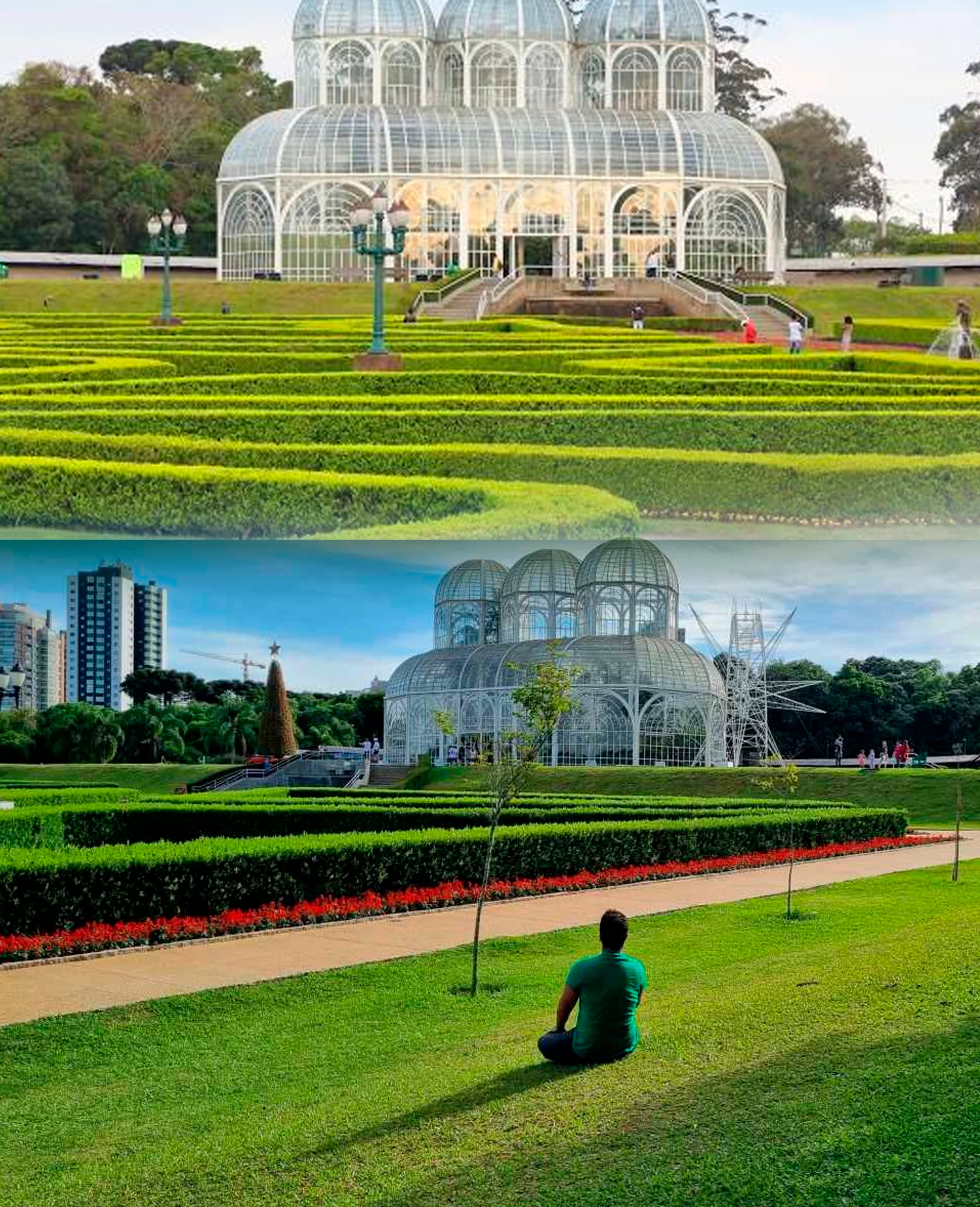 Curitiba-PR-1 RIR Brasil Curitiba PR I A Voz do Manejo Agroflorestal