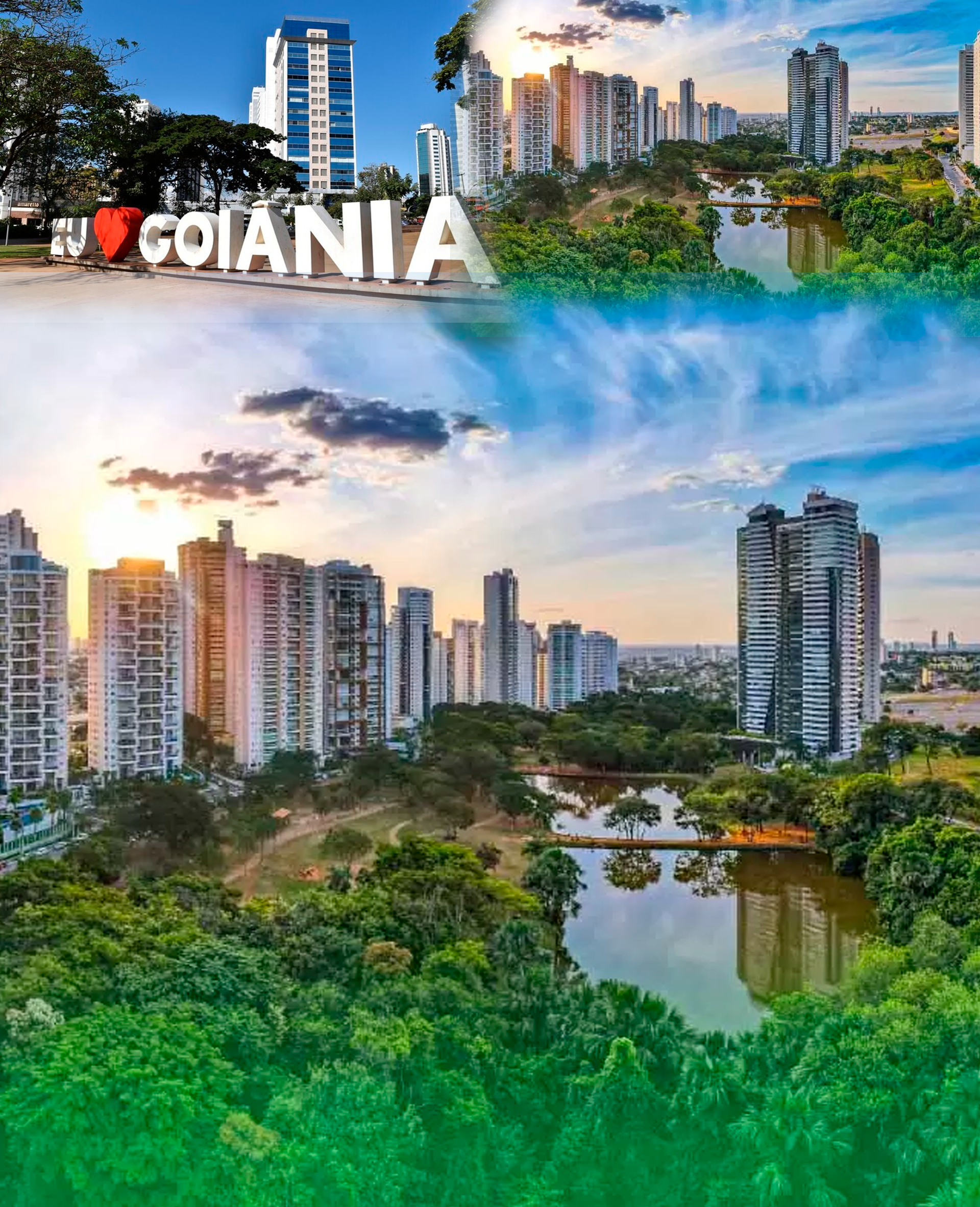 Goiania-GO-Tema RIR Brasil Goiânia GO I A Voz do Manejo Agroflorestal
